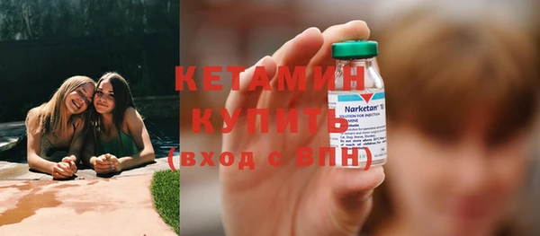 гидра Арсеньев
