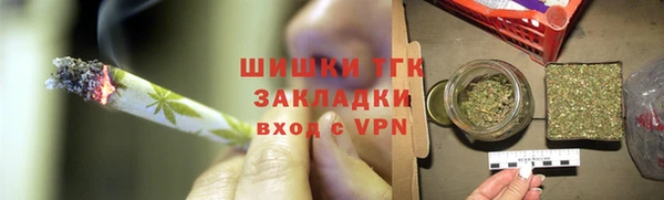 гидра Арсеньев