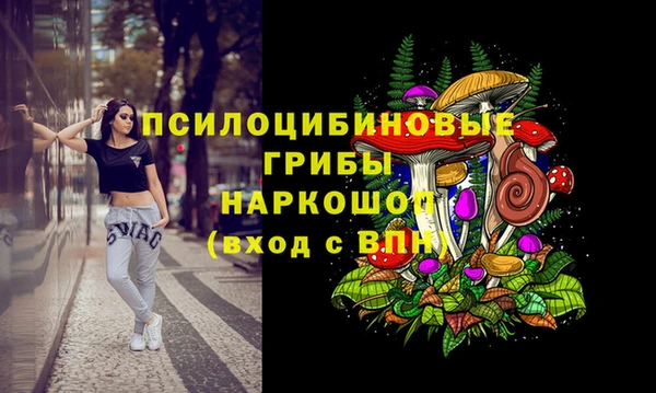 дмт Армянск