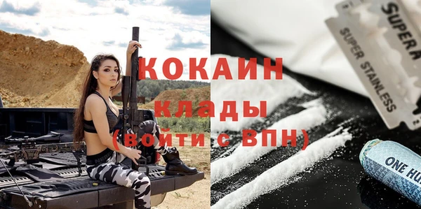 гидра Арсеньев