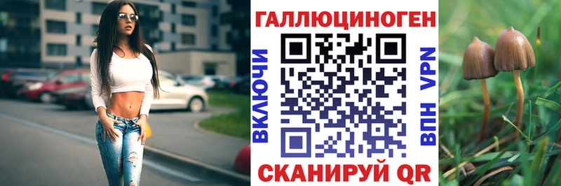 Галлюциногенные грибы Psilocybine cubensis  Порхов 